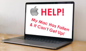 Image of a macintosh with the words "help my Mac has fallen and it can't get up"