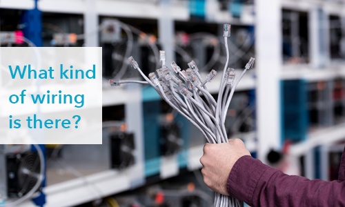 image of a hand holding up a bunch of internet connectors